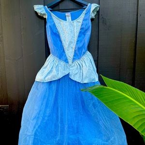 Adult small Cinderella costume dress perfect for Halloween Disney Princess